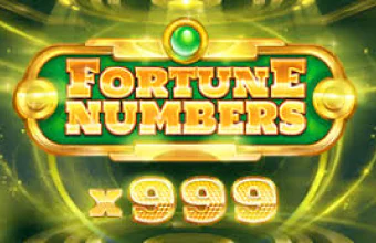 Fortune Numbers Slot