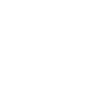 Apple icon